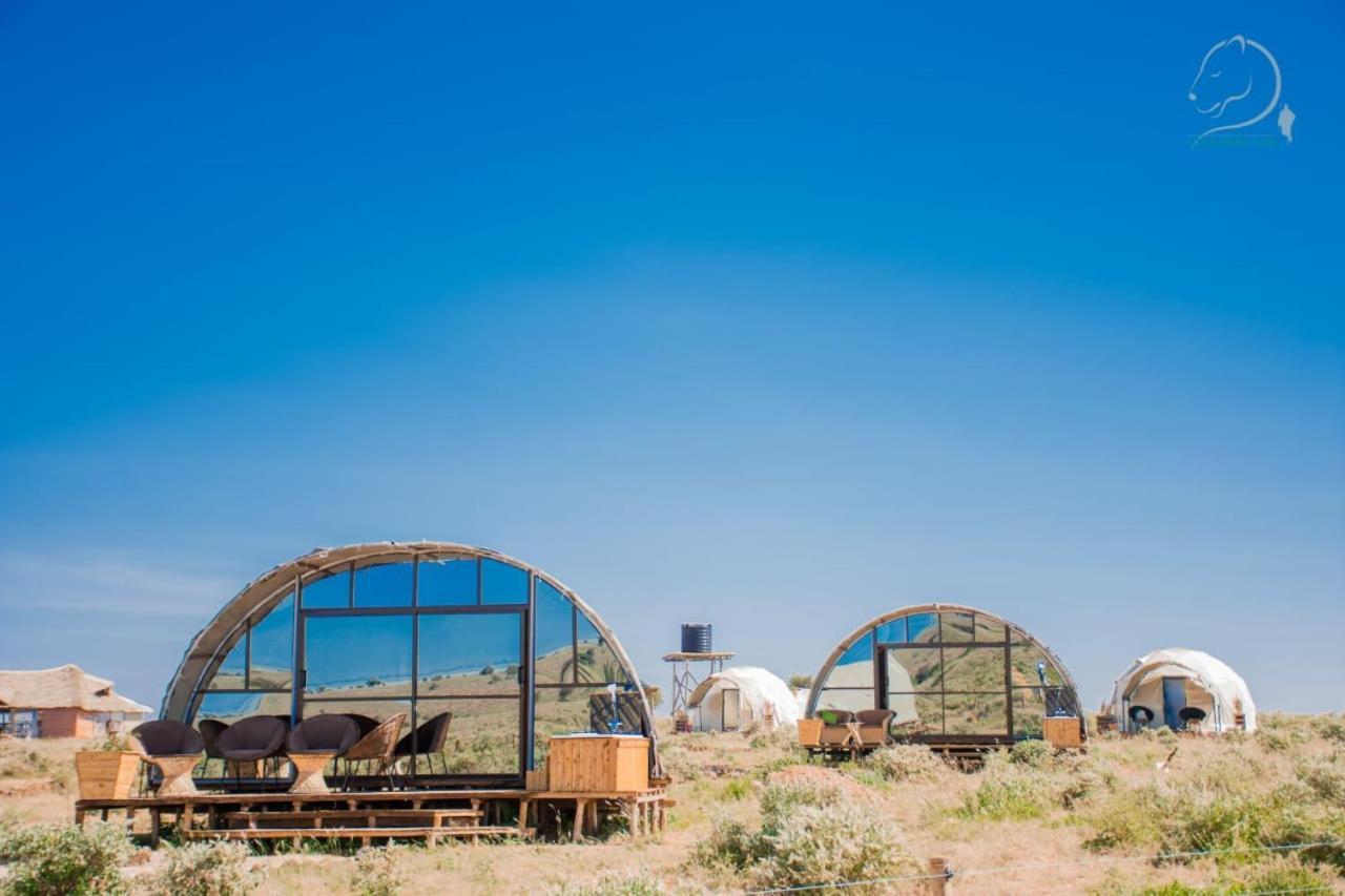 מלון אמבוסלי Little Amanya Camp מראה חיצוני תמונה