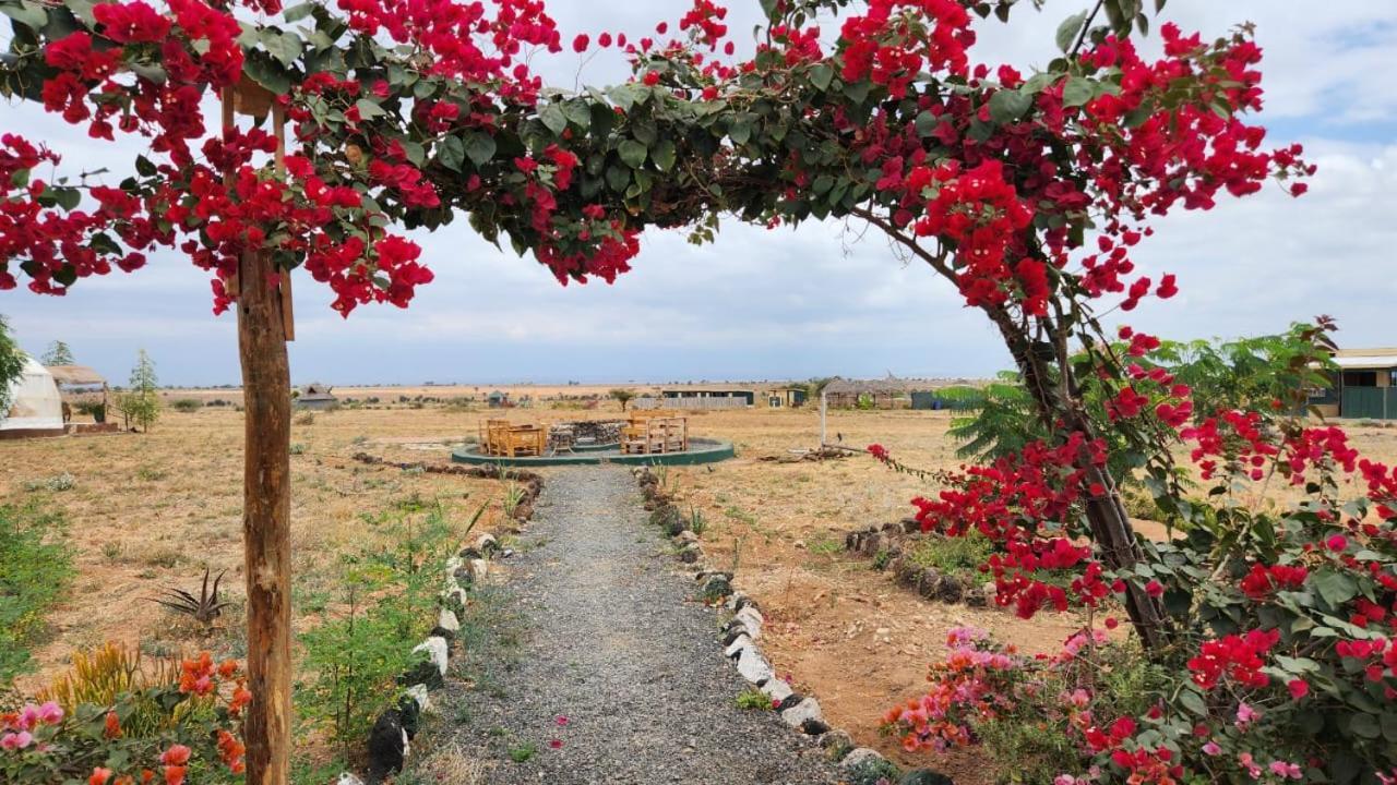 מלון אמבוסלי Little Amanya Camp מראה חיצוני תמונה